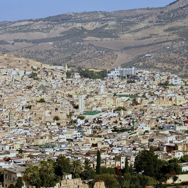 Panoramic view of Fes Medina in Morocco, showcasing a historic mosque, lush greenery, and densely packed buildings under a clear sky