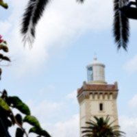 Tangier lighthouse with palm trees, Morocco