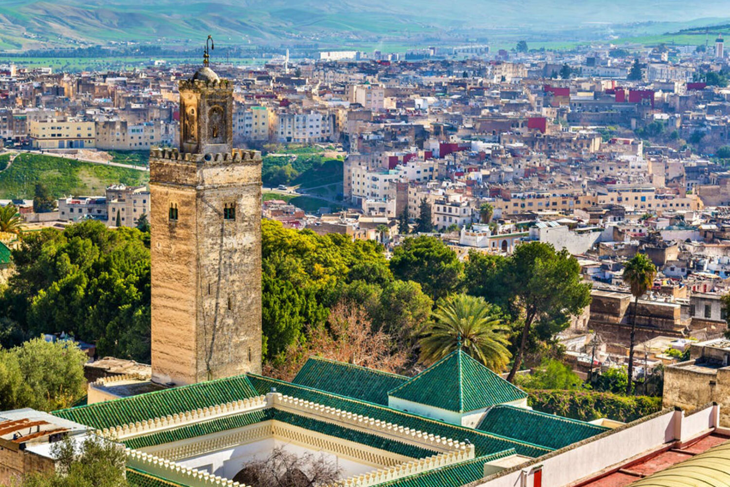 fes from above